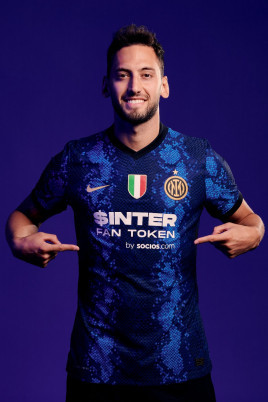 和多样化的 和多样化的