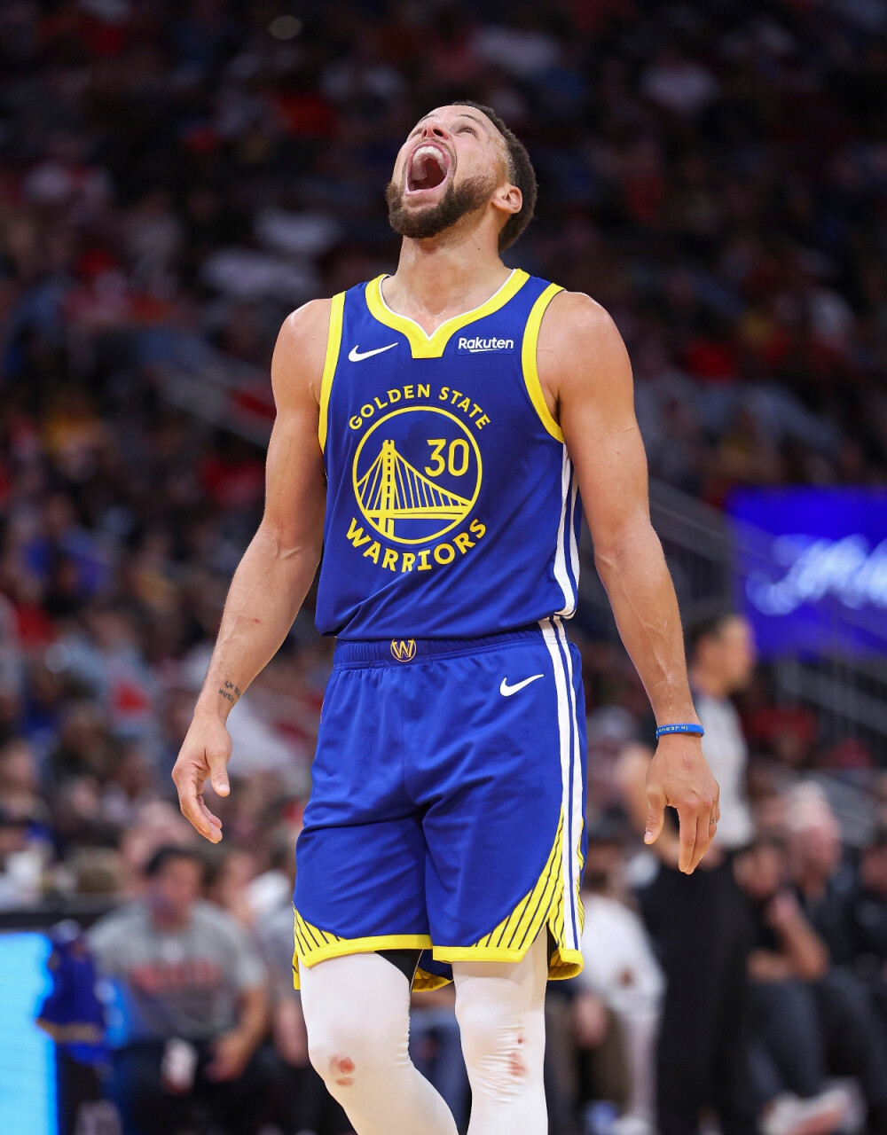 上升的自家 上升的自家